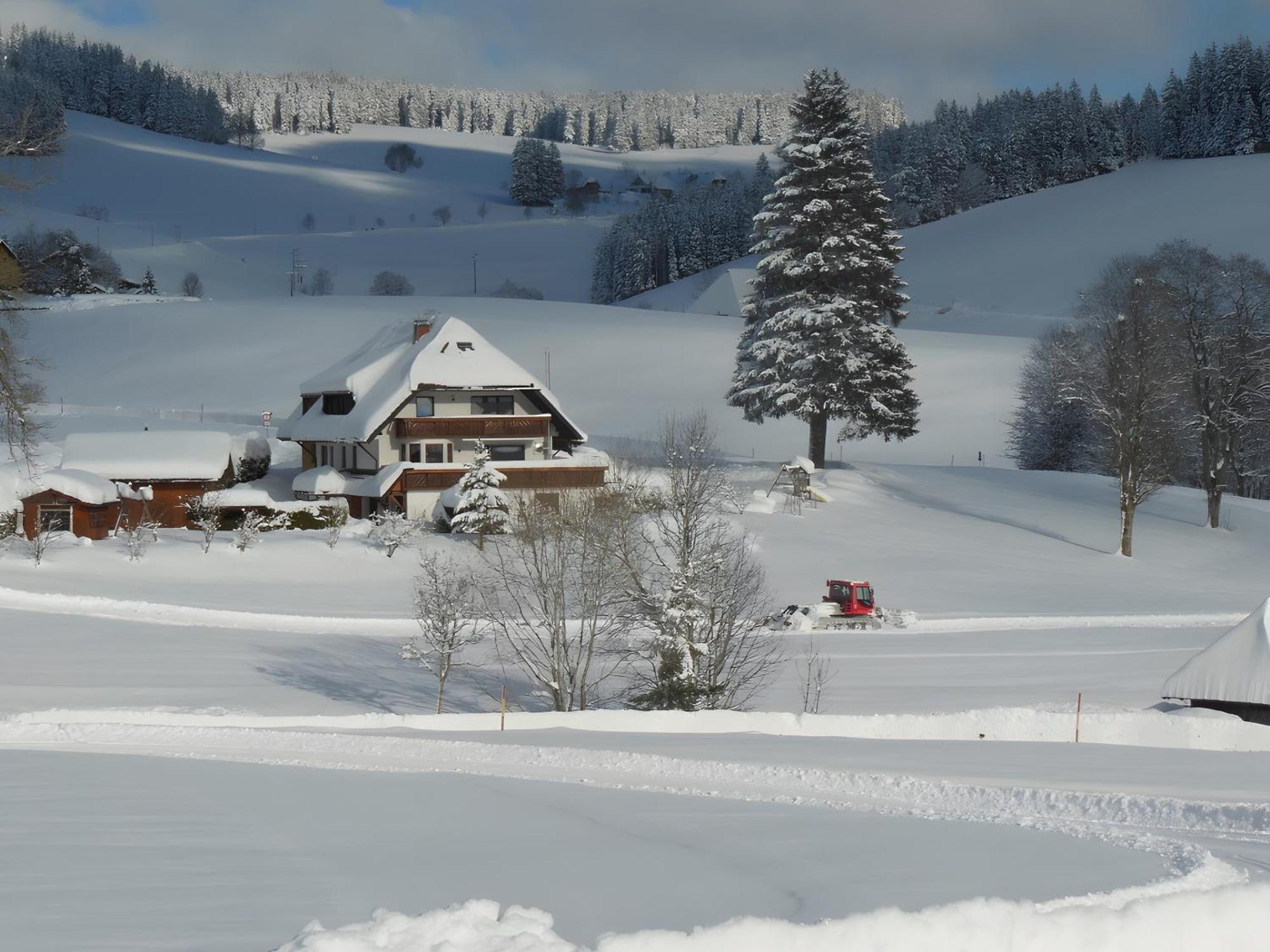 Ferienhaus Kaltenbach Titisee-Neustadt Eksteriør billede
