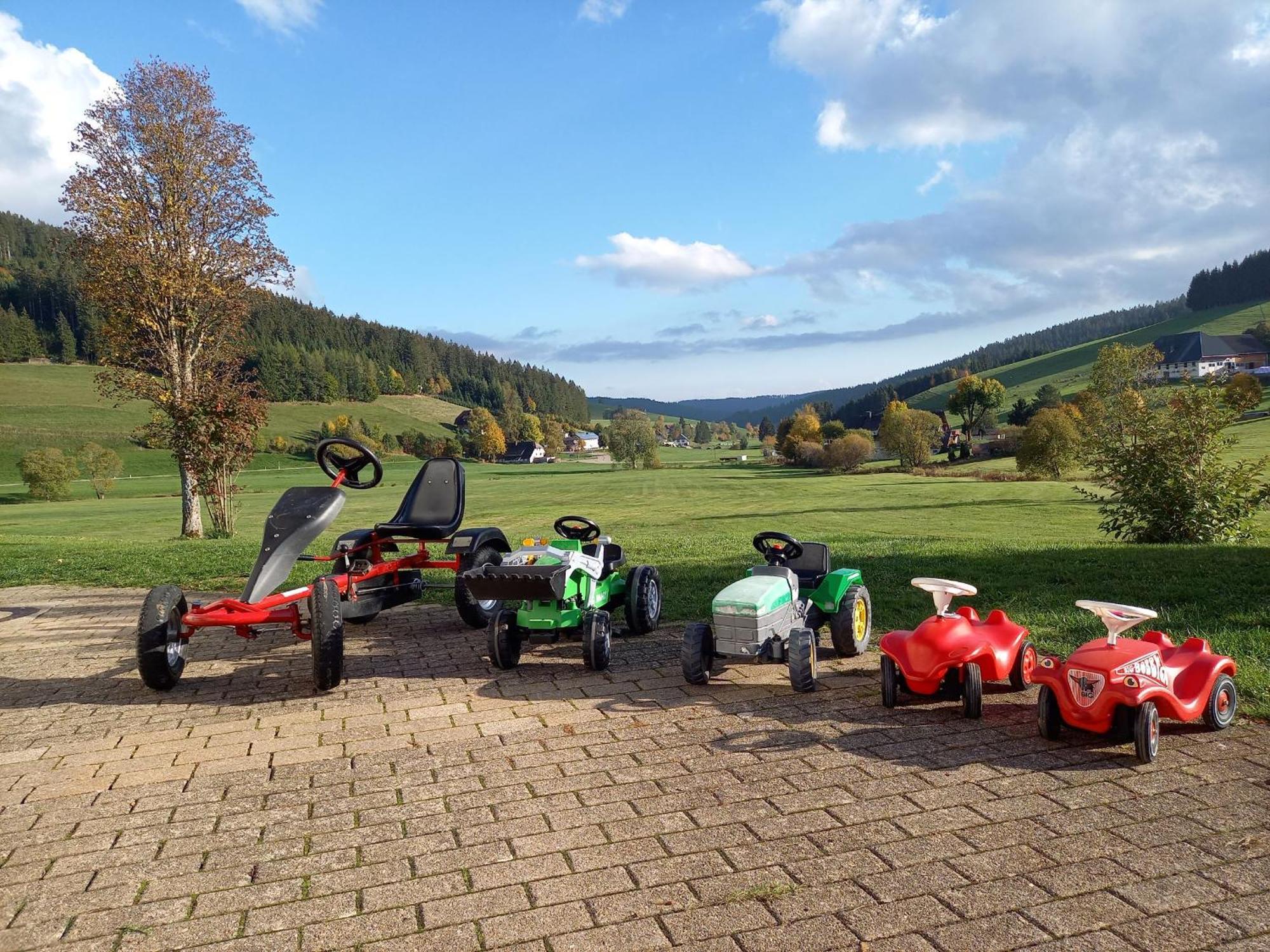 Ferienhaus Kaltenbach Titisee-Neustadt Eksteriør billede