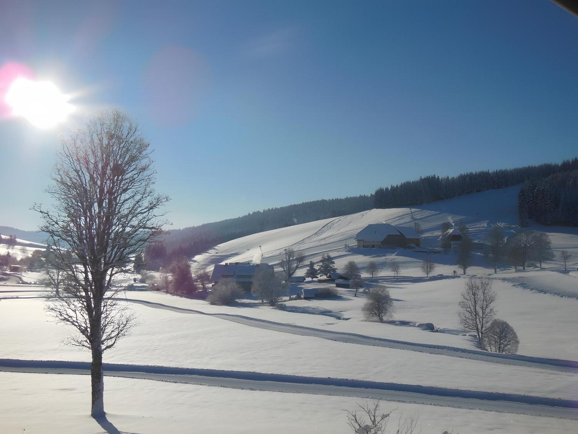 Ferienhaus Kaltenbach Titisee-Neustadt Eksteriør billede