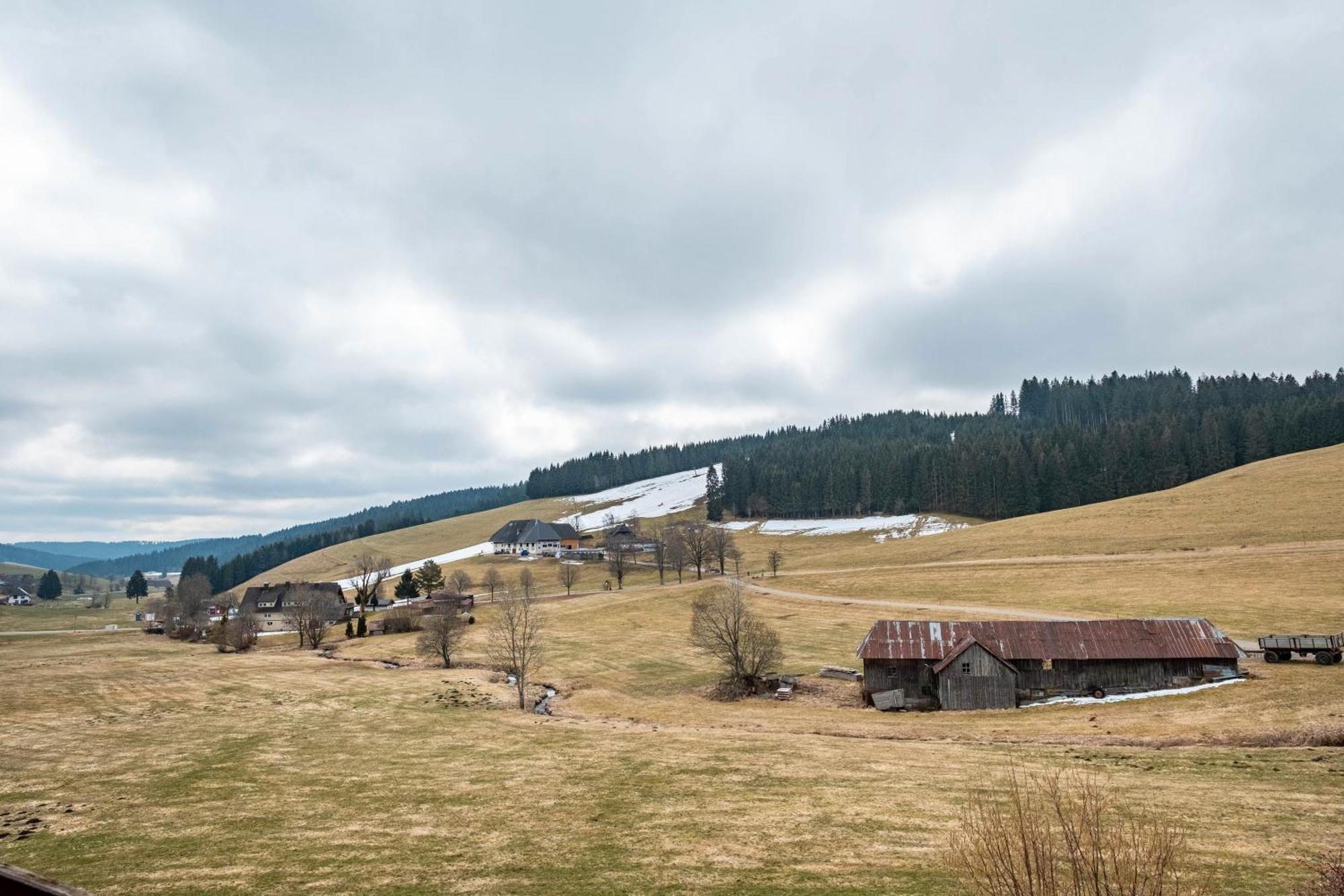 Ferienhaus Kaltenbach Titisee-Neustadt Eksteriør billede