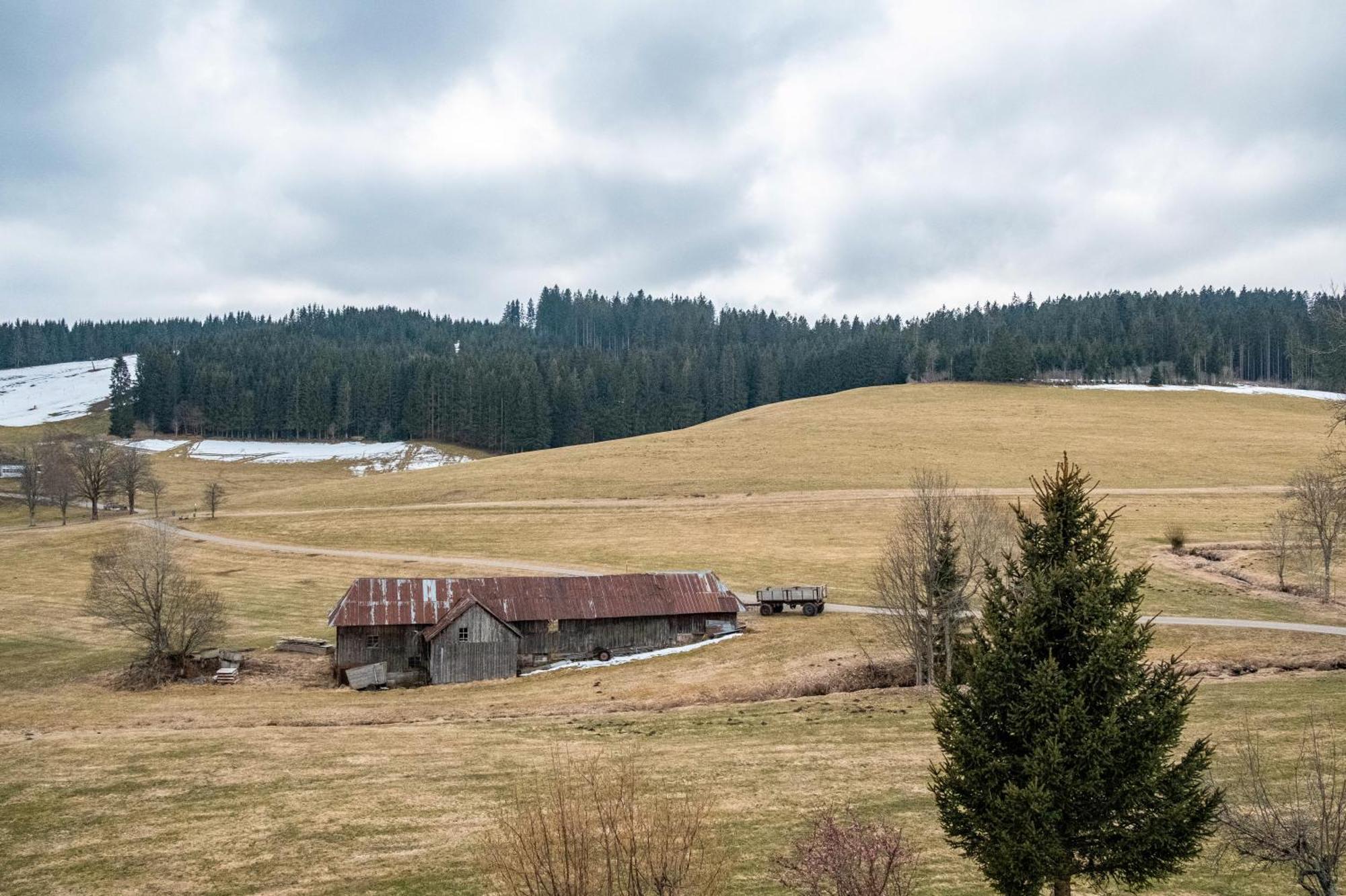 Ferienhaus Kaltenbach Titisee-Neustadt Eksteriør billede
